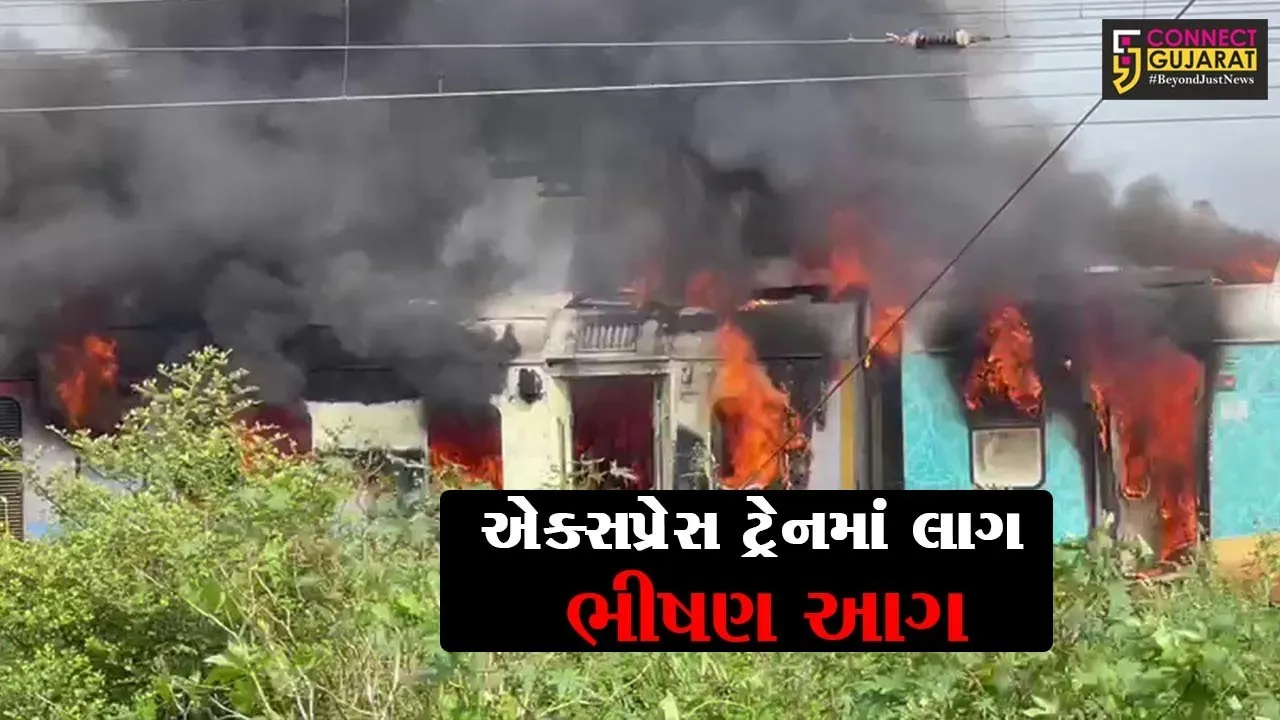ધ બર્નિંગ ટ્રેન..! વલસાડથી સુરત જતી ટ્રેનના ડબ્બામાં અચાનક આગ ફાટી નીકળતા રેલવે વિભાગ દોડતું થયું
