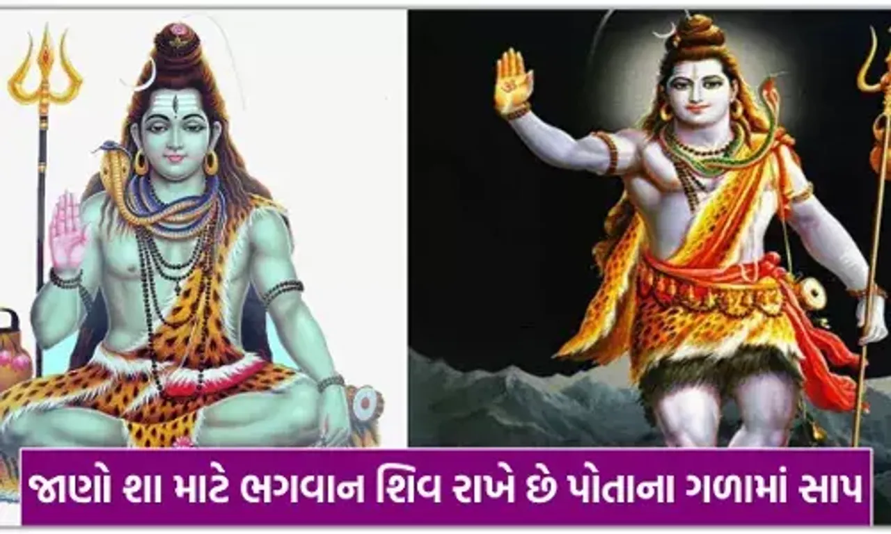 શિવજી ગળામાં સાપ શા માટે પહેરે છે? જાણો તેની પાછળ છે આ ભક્તિ જવાબદાર....
