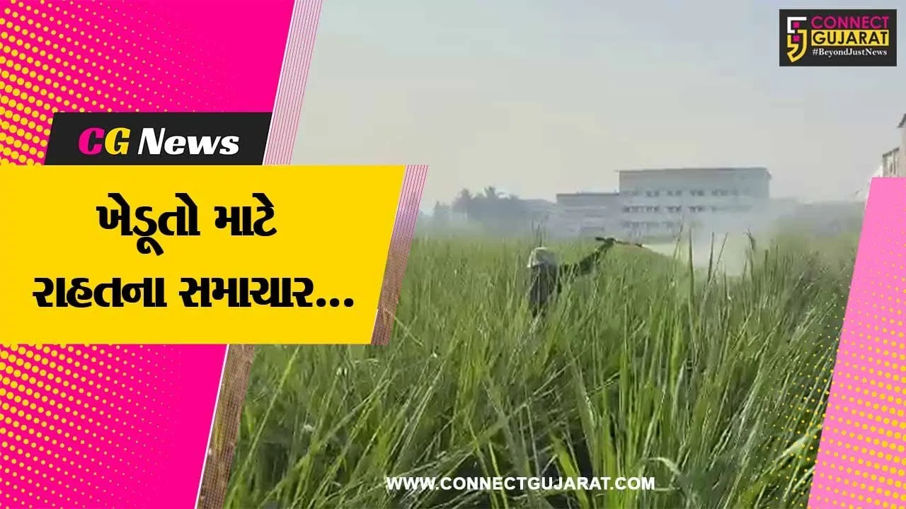 સુરત : ધીમી ધારે વરસતા વરસાદથી શેરડીના પાકનું મબલક ઉત્પાદન, ખેડૂતોમાં ખુશીનો માહોલ...
