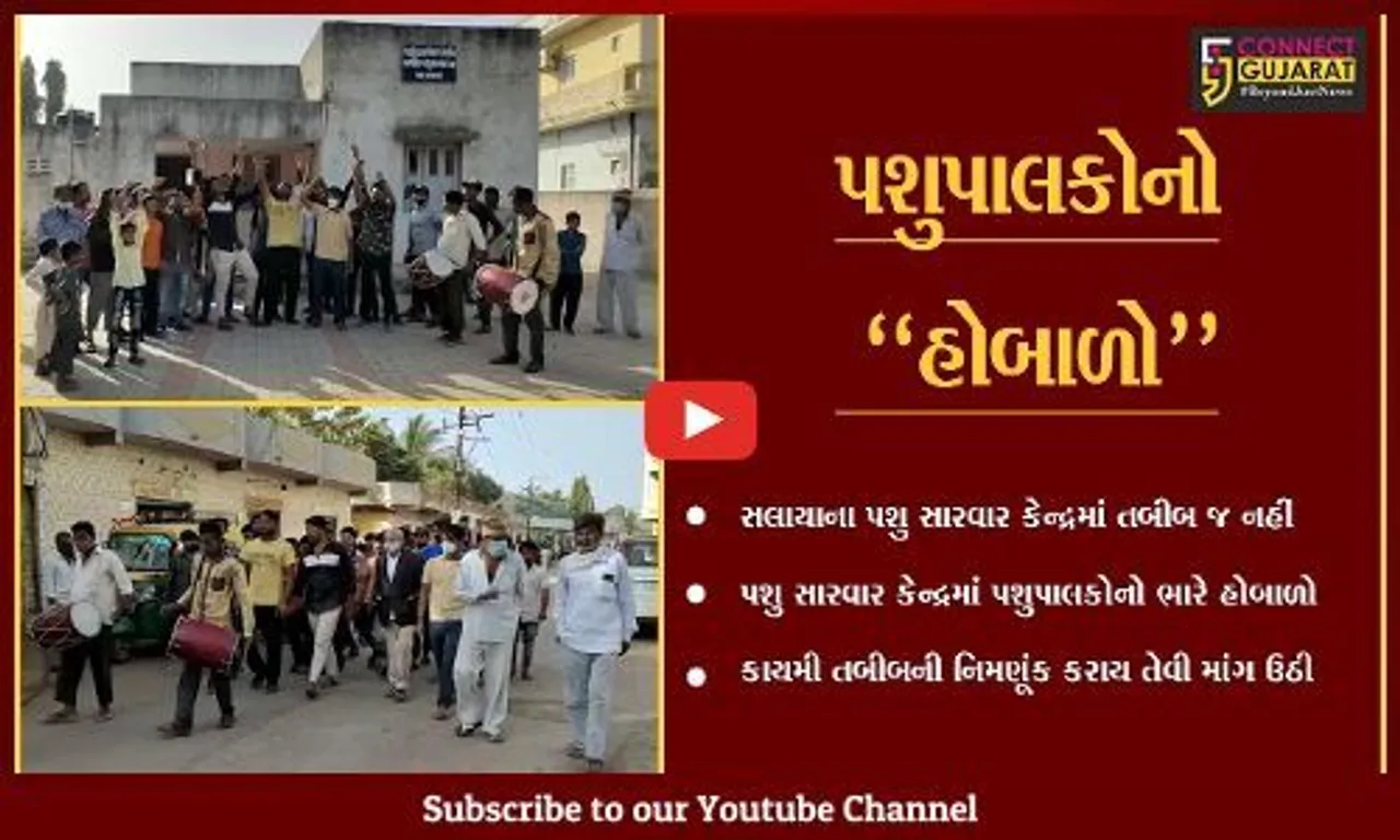 દેવભૂમિ દ્વારકા : સલાયાના પશુ સારવાર કેન્દ્રમાં પશુપાલકો તો આવે છે, પણ તબીબ નહીં..!