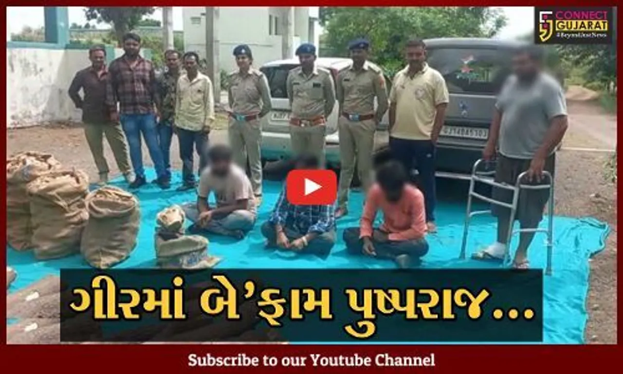 અમરેલી : રાજસ્થાની ગેંગના "પુષ્પરાજો" ગીરના જંગલોમાંથી કરતાં હતા ચંદનના વૃક્ષોની તસ્કરી, જુઓ વનવિભાગની કાર્યવાહી...
