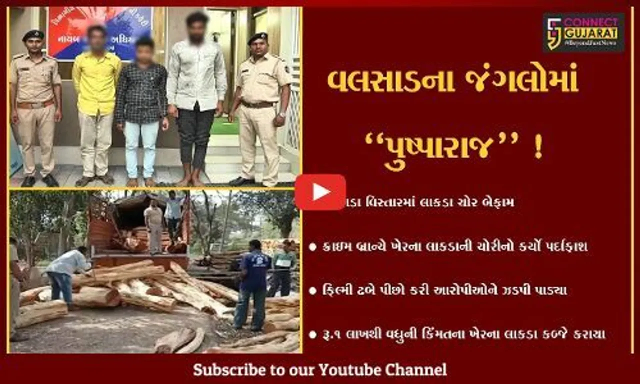 વલસાડ: કપરાડા વિસ્તારમાં ખેરના લાકડાની ચોરીનો પર્દાફાશ,પોલીસે ફિલ્મી ઢબે આરોપીઓને દબોચ્યા