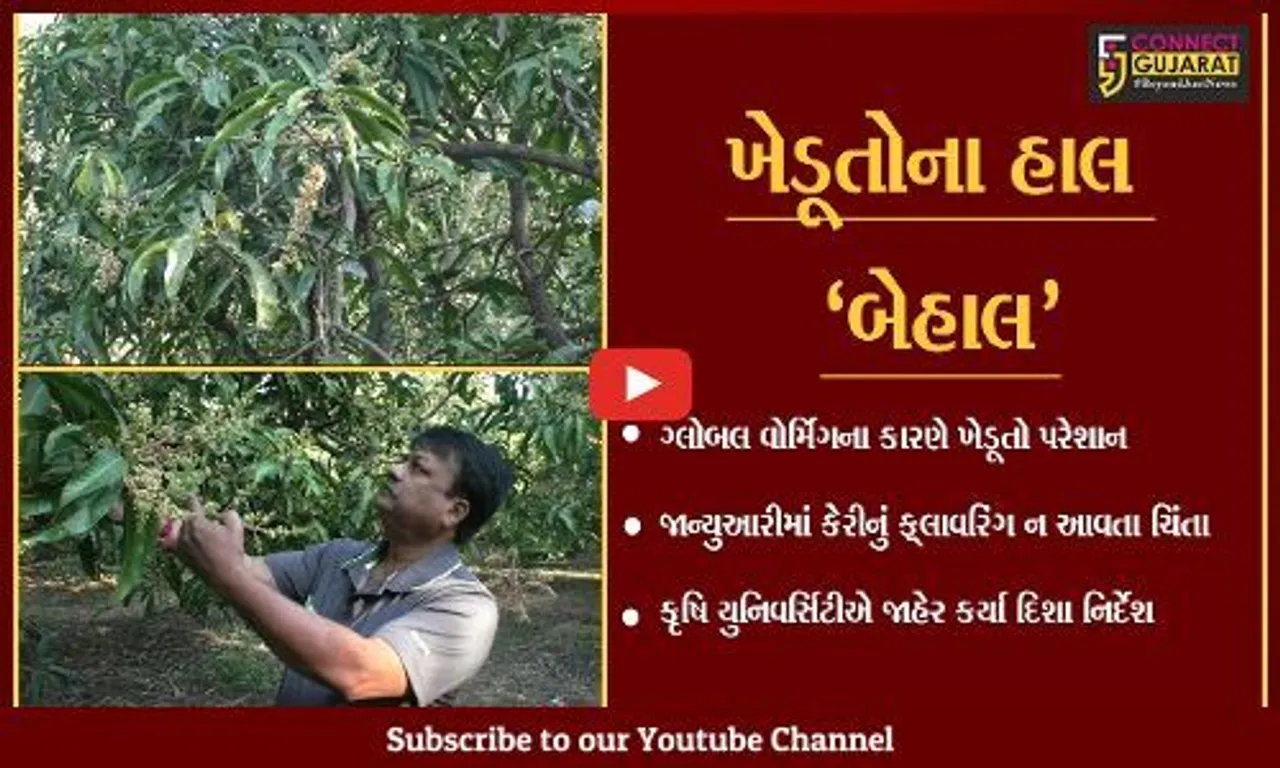 નવસારી : વાતાવરણમાં આવતા પલટાના કારણે ખેડૂતો પરેશાન, કૃષિ યુનિવર્સિટી આવી પડખે