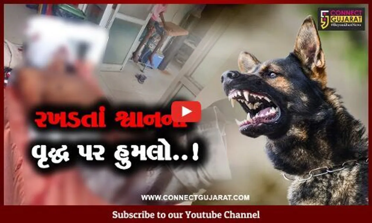 ભરૂચ : અંકલેશ્વરના કોસમડી ગામે પાળેલા શ્વાનને બચાવવા જતા રખડતાં શ્વાનોએ કર્યો વૃદ્ધ પર હુમલો...