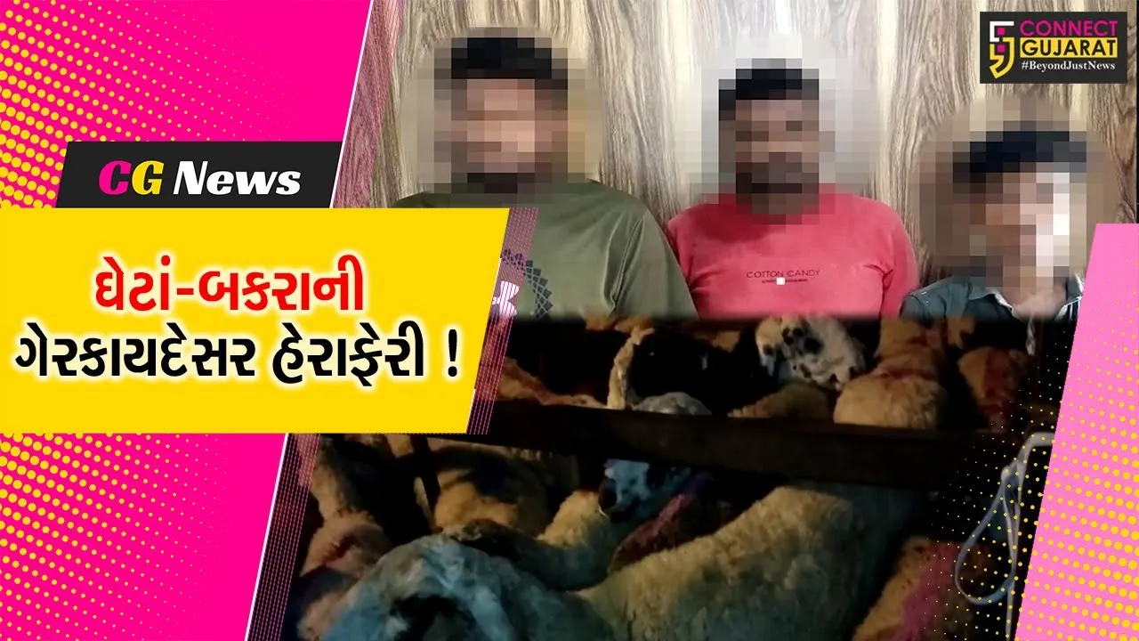 ભરૂચ: માંડવા ટોલ પ્લાઝા નજીકથી ગેરકાયદેસર હેરફેરી કરતાં ઘેટાં-બકરા ભરેલ ટ્રક ઝડપાય,પોલીસે કરી કાર્યવાહી