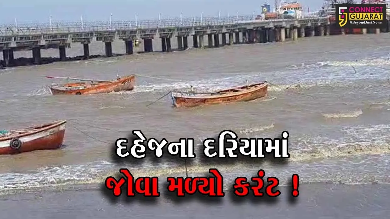 ભરૂચ: દહેજમાં ભારે પવન ફૂંકાવવાનું શરૂ, વાવાઝોડાની શક્યતાના પગલે તંત્ર એલર્ટ