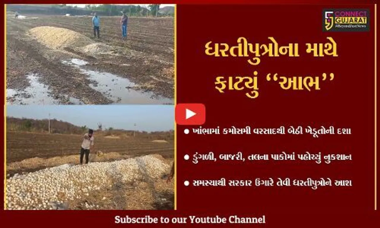અમરેલી : ભરઉનાળે ખાબકેલા કમોસમી વરસાદથી ખેતીને વ્યાપક નુકશાન, જગતના તાતની માઠી દશા