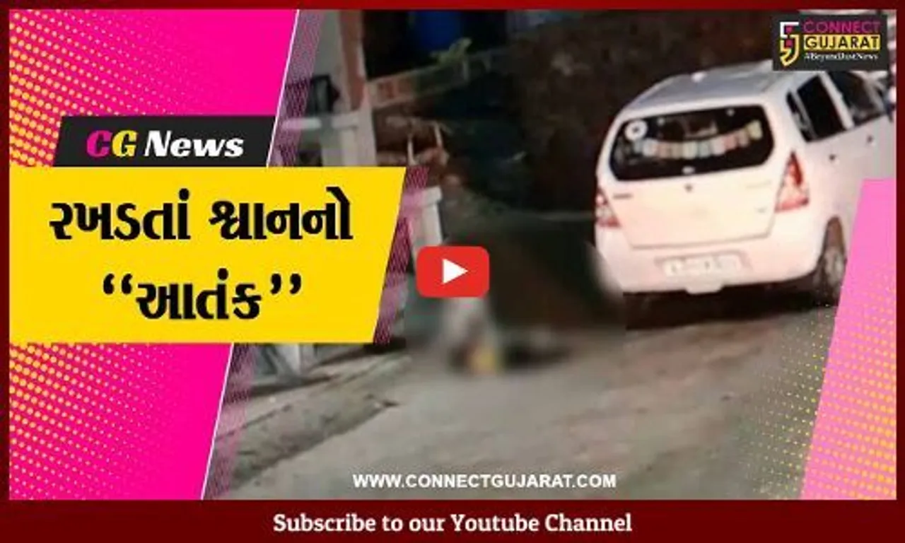 સુરત: ઓલપાડના કન્યાસી ગામે રમી રહેલ બાળક પર શ્વાન તૂટી પડ્યું,જુઓ CCTV