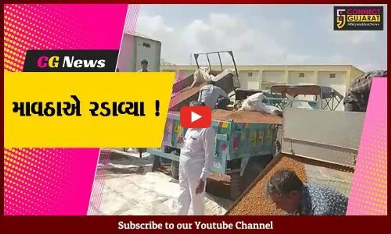 જુનાગઢ: માવઠા વચ્ચે ચણાની ટેકાના ભાવે ખરીદી શરૂ, ખેડૂતોમાં રોષ...