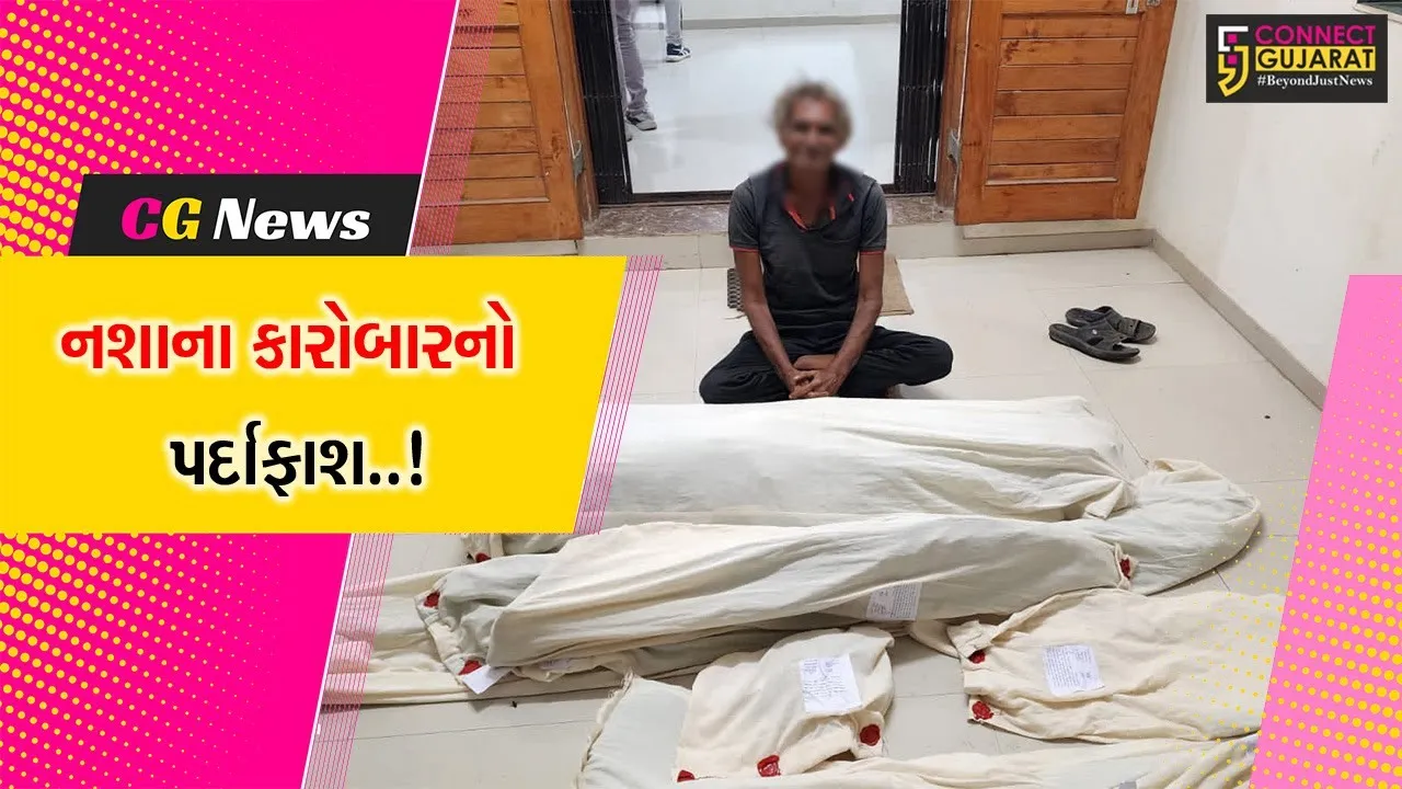 જુનાગઢ : ઘર આંગણામાં ગાંજાના છોડનું વાવેતર કરનાર ઓસા ગામના શખ્સની ધરપકડ, રૂ. 1.75 લાખનો મુદ્દામાલ જપ્ત