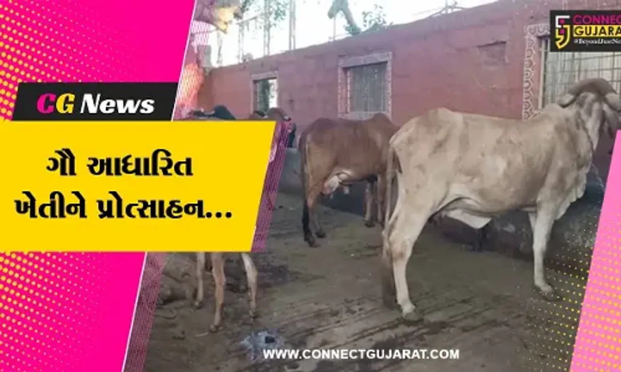 જુનાગઢ : કેન્દ્રના રાજ્યકક્ષાના નાણામંત્રી ડૉ. ભાગવત કરાડ આવ્યા જામકાની મુલાકાતે, ગૌ આધારિત ખેતી વિશે કર્યો સંવાદ