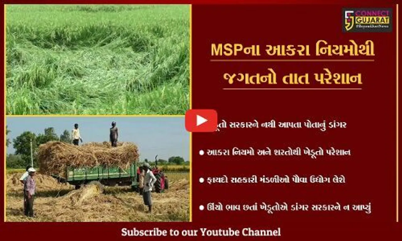 નવસારી : જિલ્લાના ખેડૂતો સરકારને અનાજ વેચવા તૈયાર નહી
