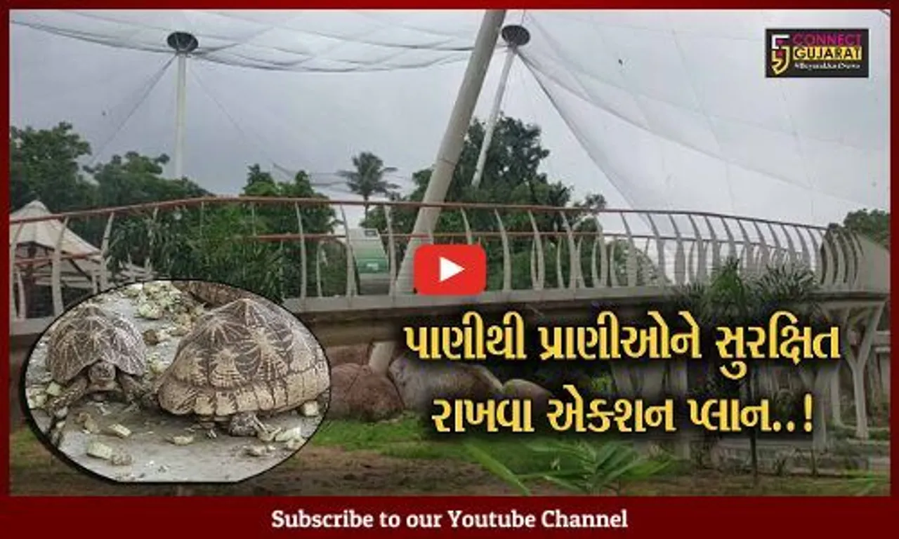 વડોદરા : ઝૂમાં પાણીથી પ્રાણીઓને સુરક્ષિત રાખવા પાંજરા ઉચાં કરાયા પ્લેટફોર્મ, તંત્ર કામે લાગ્યું