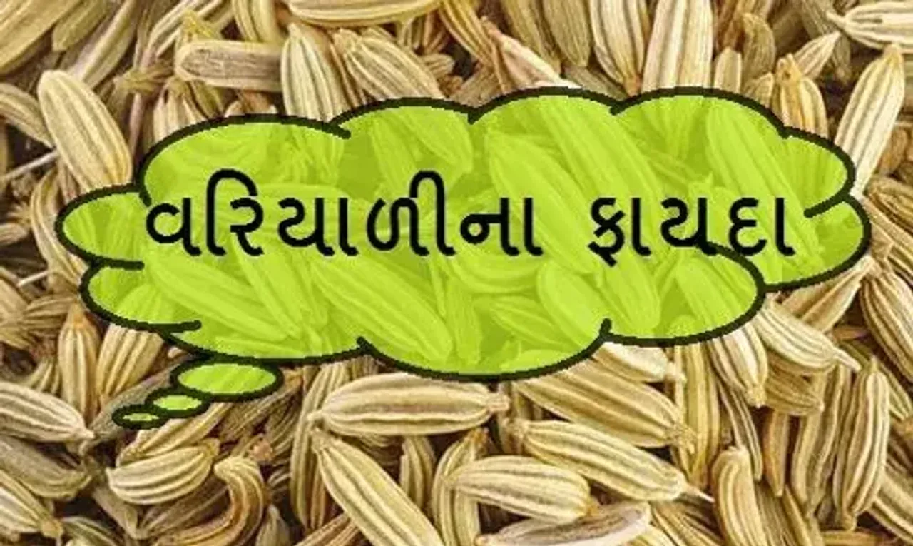 વરિયાળી ખાવાના છે અનેક ફાયદાઓ, કેન્સર સહિત આટલી બીમારીઓ થશે ઠીક, આજે જ ખાવાનું ચાલુ કરી દો.....