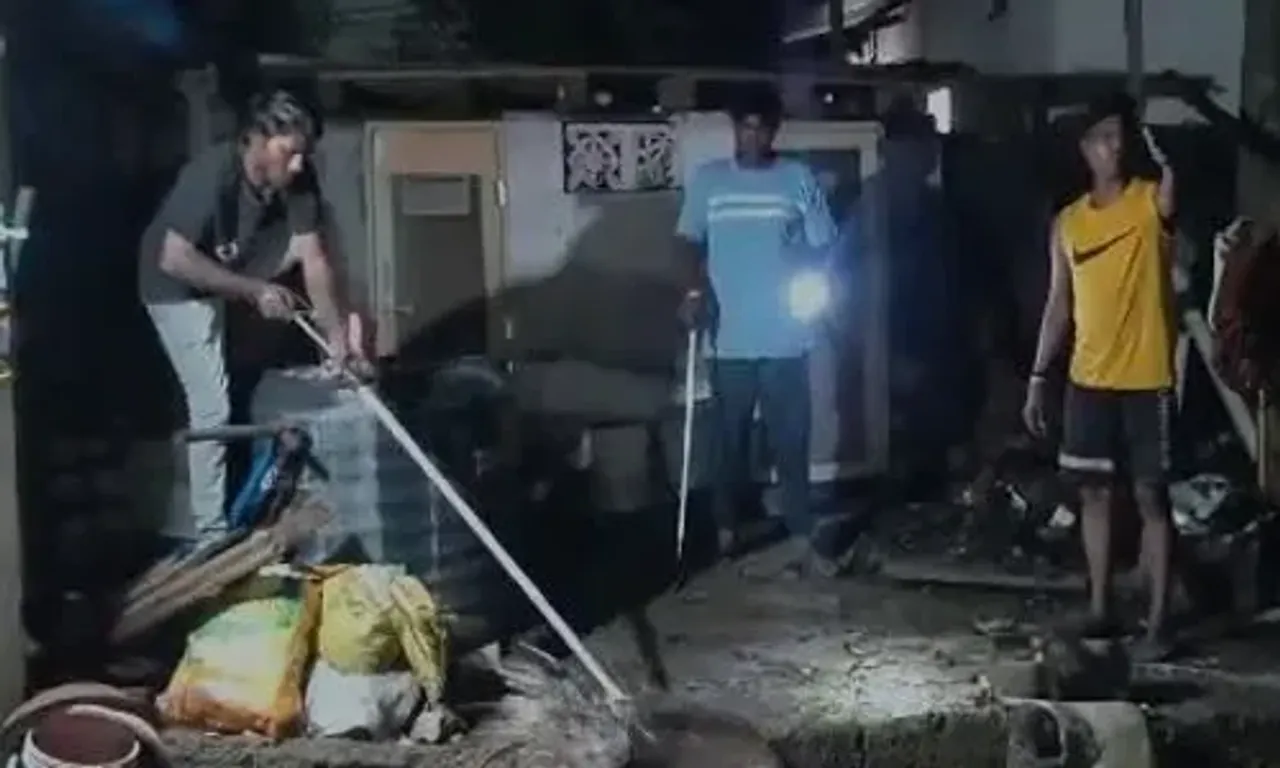 ભરૂચ : ભોલાવ ગામમાં સાહુડી દેખા દેતા ગ્રામજનોમાં ભયનો માહોલ, જીવદયા પ્રેમીઓએ કર્યું સાહુડીનું રેસક્યું...