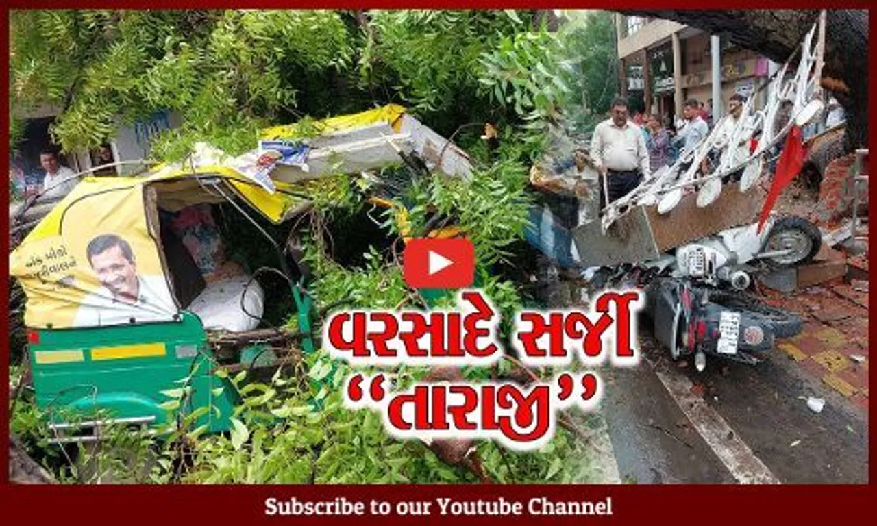 આણંદ : અવિરત વરસાદના કારણે રોડ-રસ્તા બિસ્માર, તો વૃક્ષો ધરાશાયી થતાં અનેક વાહનોને નુકશાન