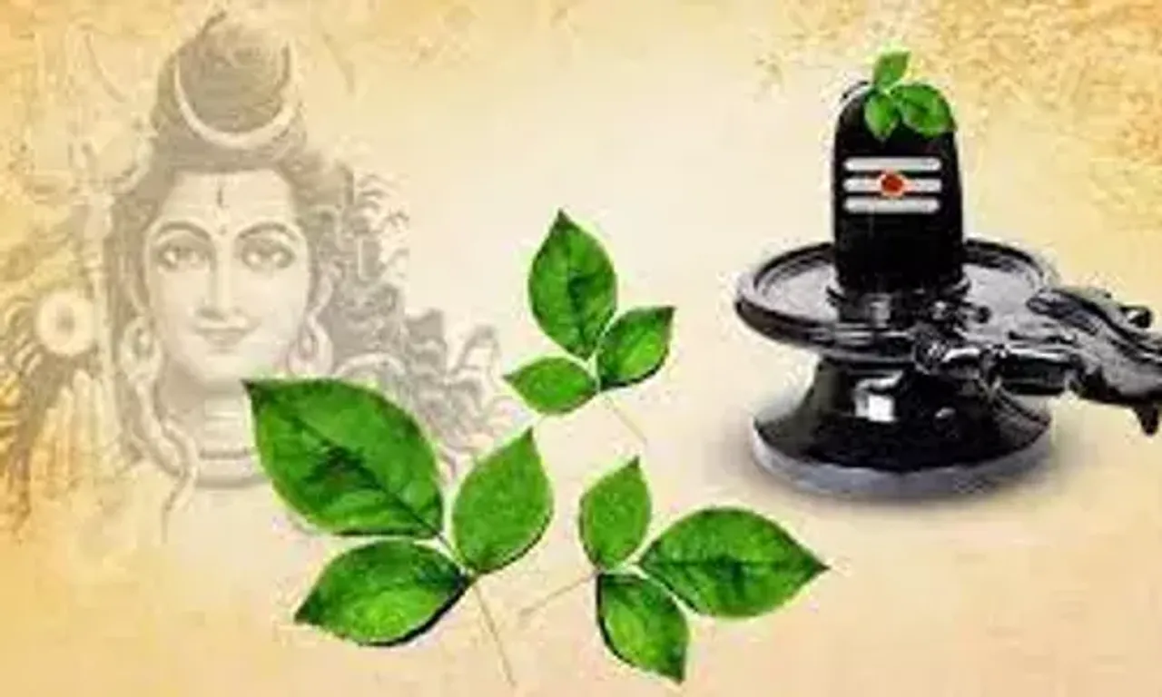 ભગવાન શિવને બિલીપત્ર જ કેમ ચઢાવવામાં આવે છે? કારણ જાણી ચોંકી જશો......