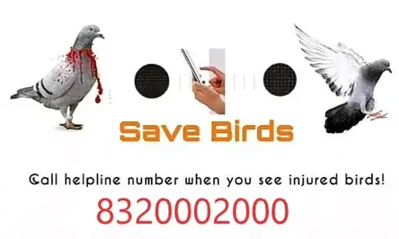 ભરૂચ: ઉતરાયણમાં ઘાયલ પશુ-પક્ષીઓને સારવાર માટે તંત્ર સજજ,આવતીકાલથી કરૂણા અભિયાનનો પ્રારંભ.