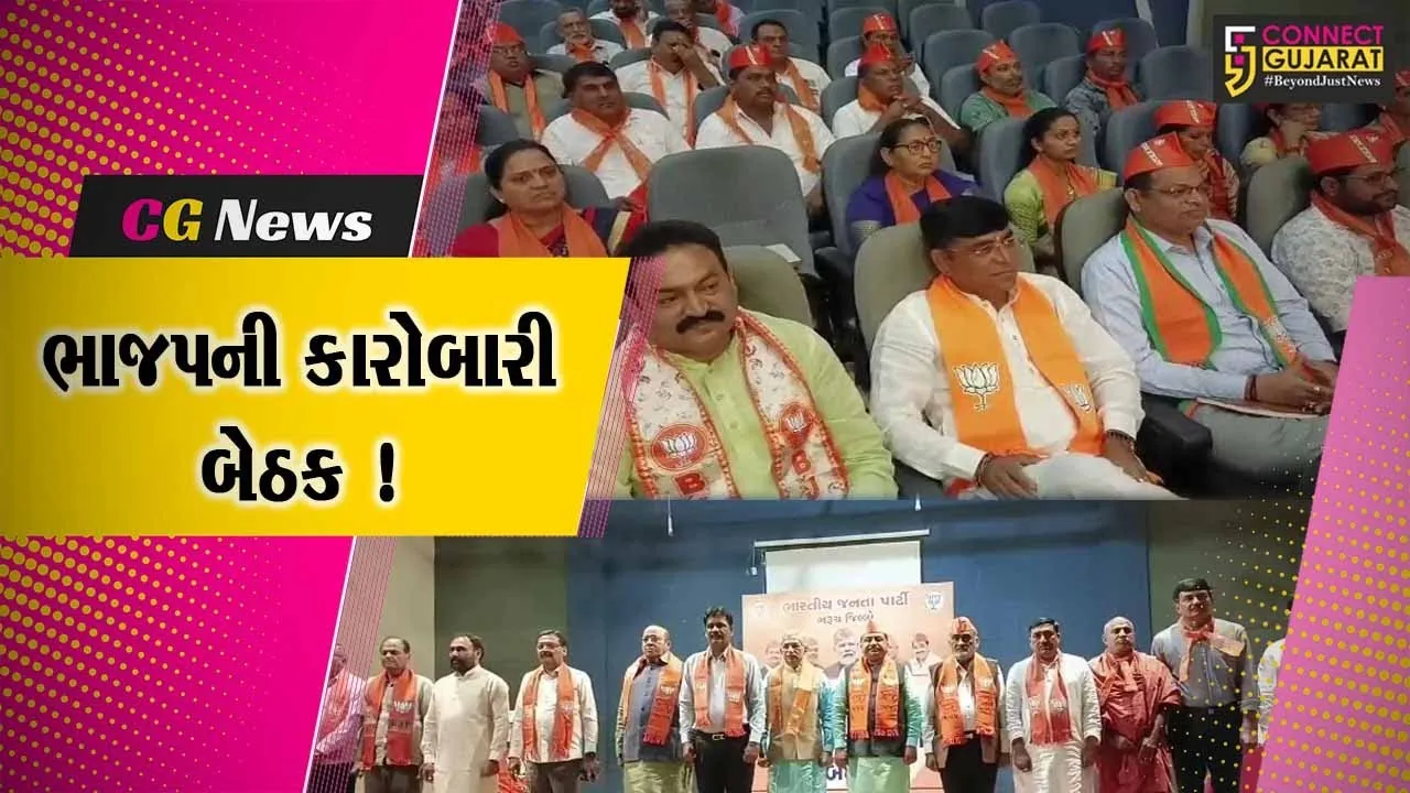 ભરૂચ: ભાજપની કારોબારી બેઠક યોજાય, લોકસભાની ચૂંટણી અંગે કરવામાં આવી ચર્ચા