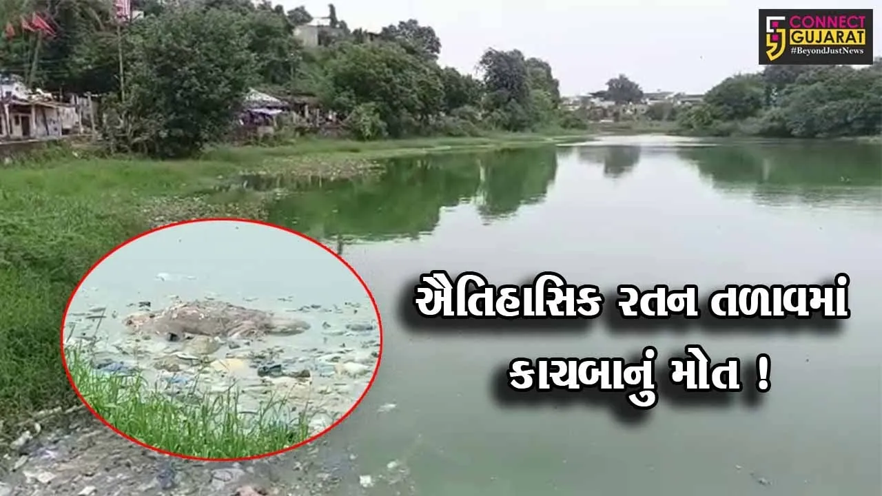 ભરૂચ:ઐતિહાસિક રતન તળાવમાં દુર્લભ કાચબાનું મોત,જીવદયા પ્રેમીઓમાં રોષ