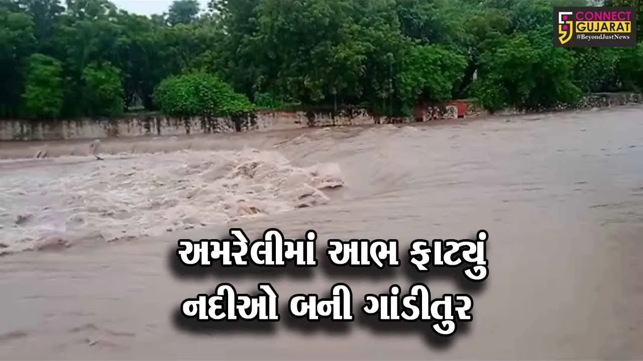અમરેલીમાં અનેક વિસ્તારોમાં મેઘરાજાની ધમાકેદાર ઇનિંગ બાદ ઠેર ઠેર ભરાયા પાણી........