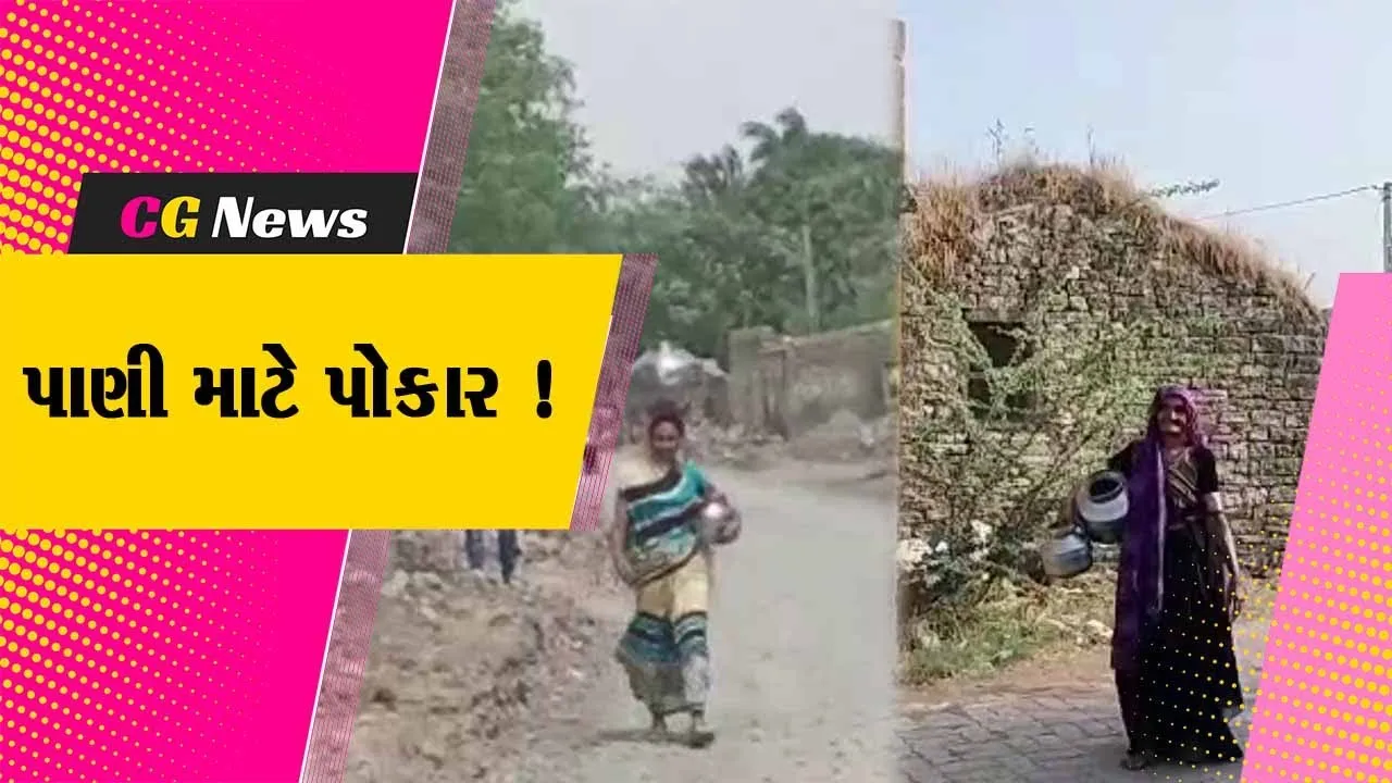 ગીર સોમનાથ: ભર ઉનાળામાં તાલાલાના રાયડી ગામે પાણી માટે ગ્રામજનો મારી રહ્યા છે વલખા