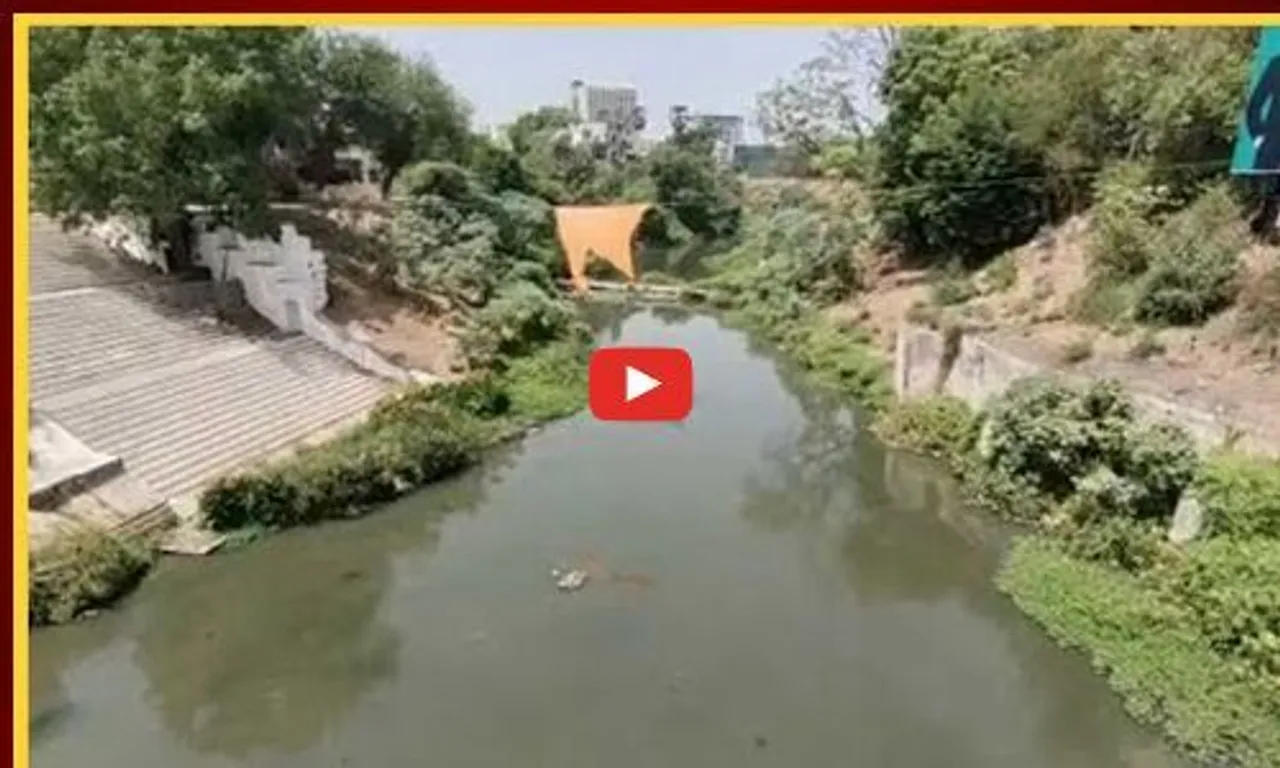 વડોદરા : વિશ્વામિત્રી અને તળાવોને પ્રદૂષિત કરવા કોર્પોરેશનની ભૂમિકા, 22.75 કરોડ લિટર ડ્રેનેજના પાણીનો નદી - નાળામાં નિકાલ