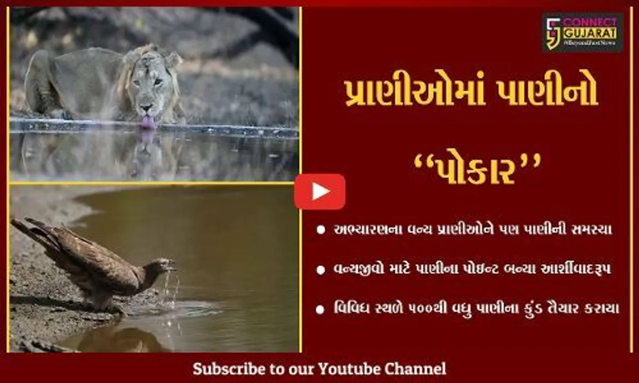 ગીર સોમનાથ : અભ્યારણના વન્યપ્રાણીઓ માટે વન વિભાગે બનાવ્યા પાણીના કુત્રિમ કુંડ...