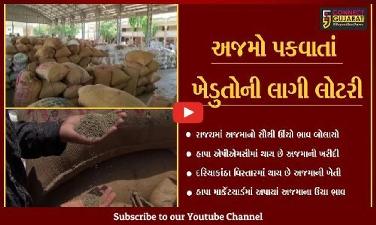 જામનગર : હાપા એપીએમસીમાં 20 કીલો અજમાનો સાત હજાર રૂપિયા ભાવ બોલાયો, ખેડુતો ખુશખુશાલ