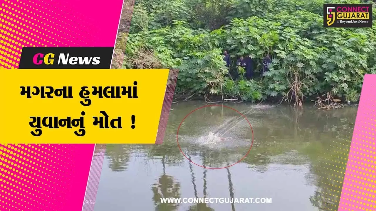 વડોદરા: વિશ્વામિત્રી નદીમાં મગરના હુમલામાં યુવાનનું મોત, ફાયર વિભાગે બહાર કાઢ્યો મૃતદેહ
