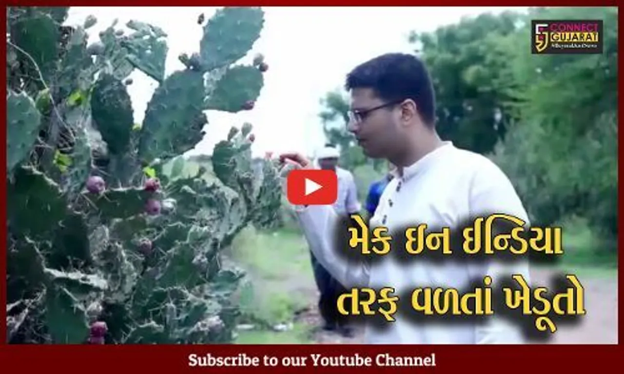 સાબરકાંઠા: યુવાને સ્ટાર્ટઅપ થકી સૌરાષ્ટ્રના ખેડૂતોએ કાંટામાંથી કમાણી કરી,  ફિંડલાના જ્યૂસ-જામનું વર્ષે અઢી કરોડનું ટર્નઓવર