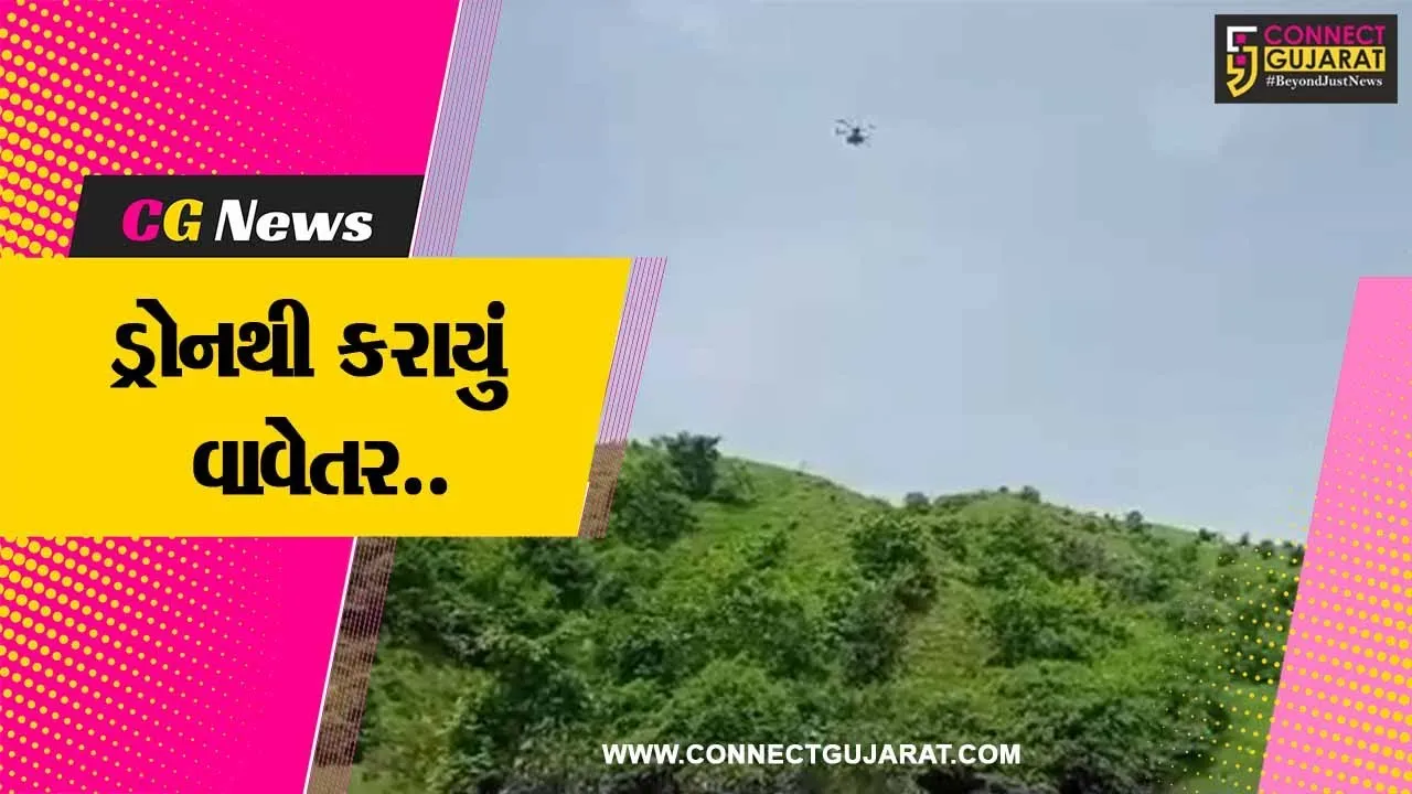 સાબરકાંઠા: પોશીના ના જંગલોમાં ડુંગરો ઉપર ડ્રોનથી બીજ- સીડબોલનું કરાયું વાવેતર, 70 હેક્ટરમાં 700 કિલો બીજનું રોપણ....