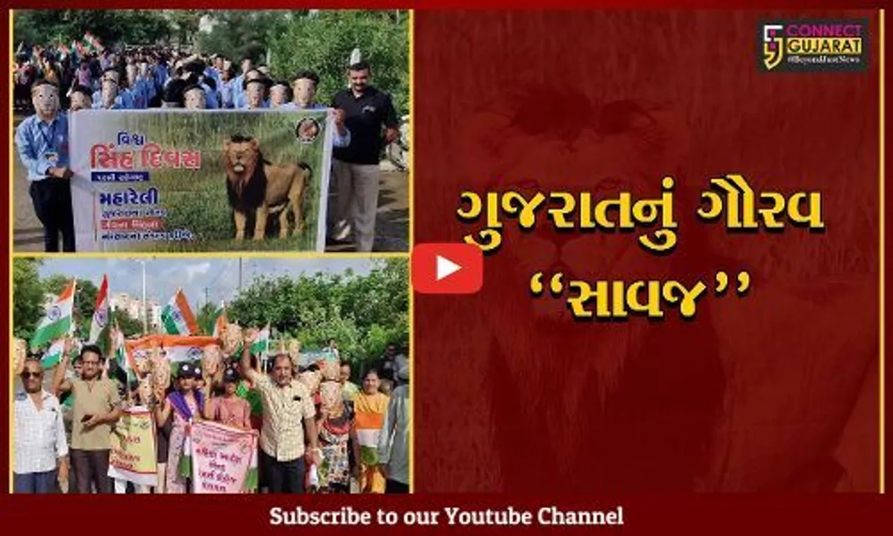 ગીર સોમનાથ : વિશ્વ સિંહ દિવસ નિમિત્તે સિંહ બચાવોના સૂત્ર સાથે વિશાળ રેલી યોજાય...