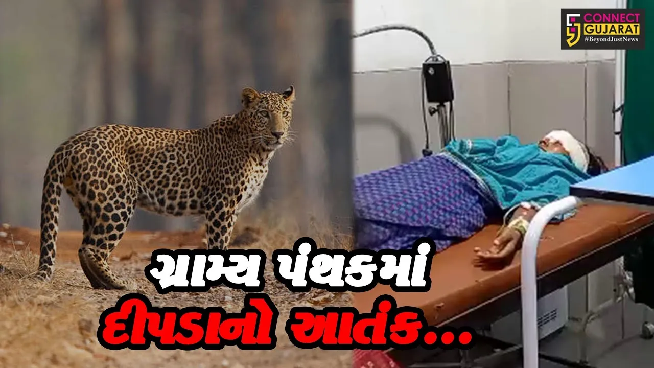 દાહોદ : દીપડાના હુમલામાં ગંભીર ઇજા પહોચતા દંપત્તિ સારવાર હેઠળ, વન વિભાગ દોડતું થયું