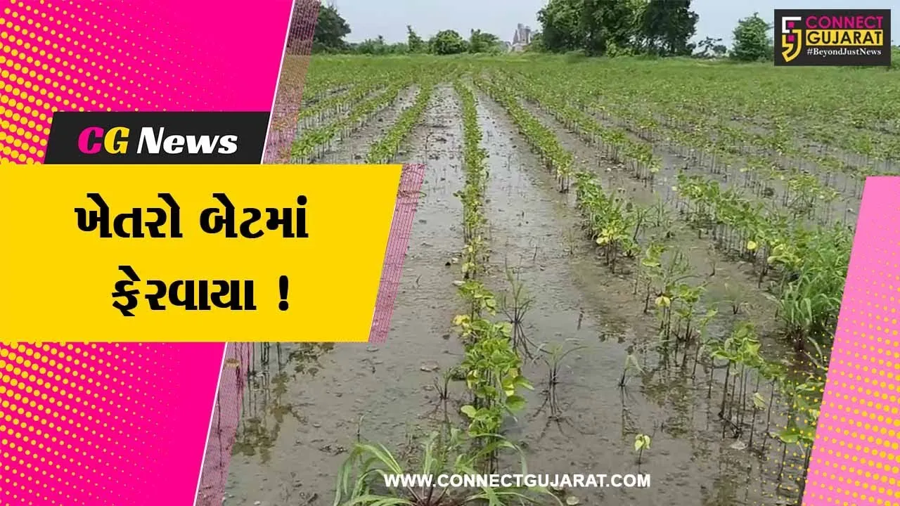 ગીરસોમનાથ: વરસાદના વિરામ બાદ પણ ખેતરો બેટમાં ફેરવાયા,ઊભા પાકને વ્યાપક નુકશાન