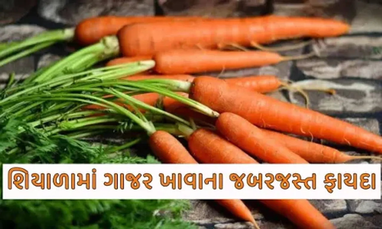 આંખો અને ત્વચા માટે વરદાનરૂપ છે ગાજર, ફાયદાઓ જાણી તમે પણ ચોકી જશો....