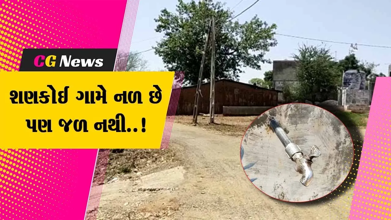 ભરૂચ : ઉનાળાના પ્રારંભે નેત્રંગના શણકોઈ ગામમાં પાણીનો પોકાર, ખેડૂતો અને સ્થાનિકોના પાણી માટે વલખા...