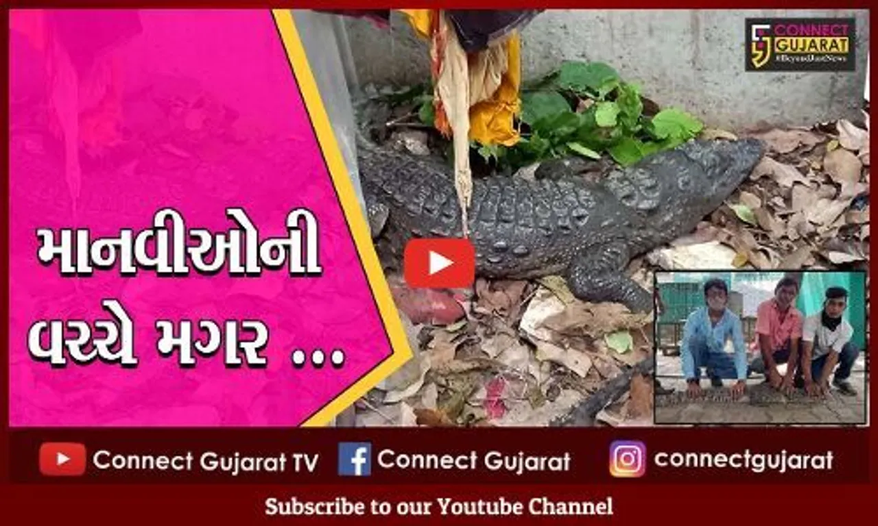 વડોદરા : શ્રમજીવીઓની બાજુમાં આવીને મગર બેસી ગયો, જુઓ લાલબાગ ઝુંપડપટ્ટીની દીલધડક ઘટના