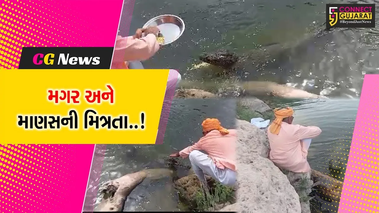 તમે, નહીં જોઈ હોય મગર અને માણસની આવી દોસ્તી, જુઓ કલ્પી પણ ન શકાય તેવા ગીર સોમનાથના દ્રશ્યો..!