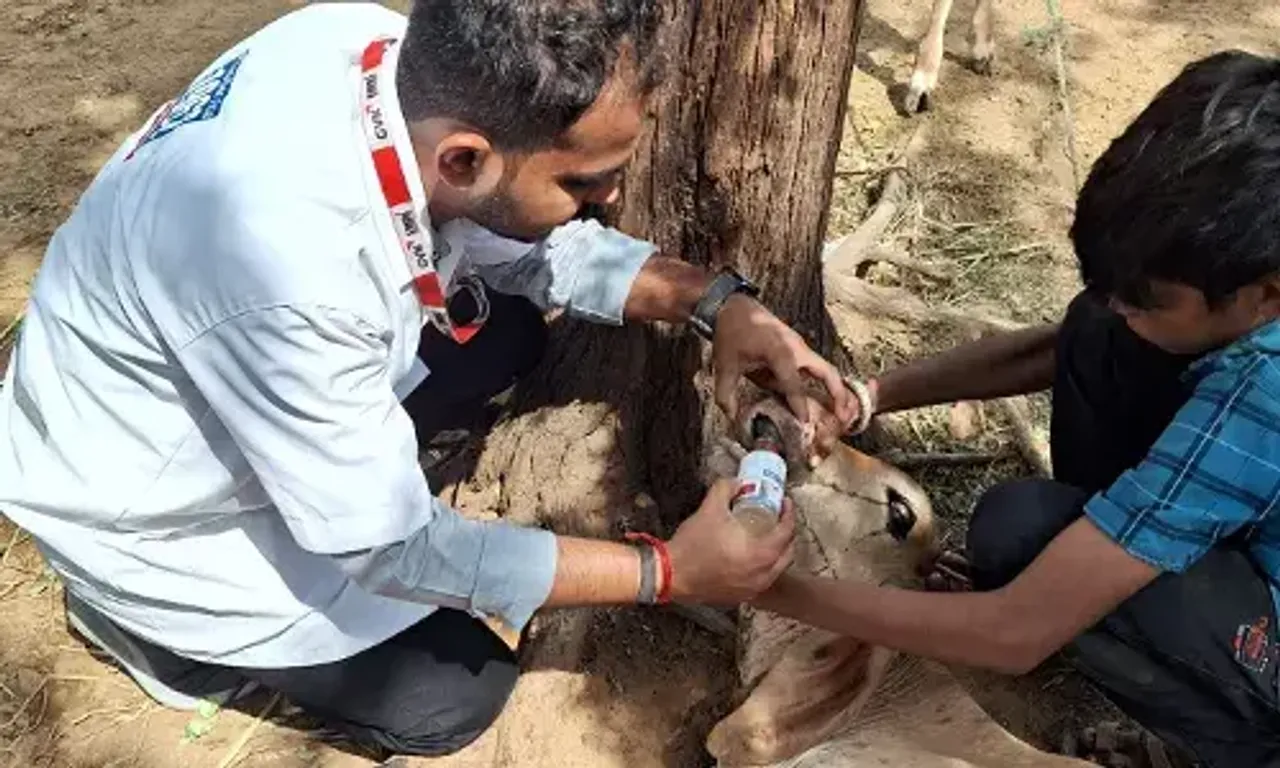 ફરતું પશુ દવાખાનું : ખેડા જીલ્લામાં “1962”ની સેવા પશુધનના માલિકો માટે વરદાનરૂપ સાબિત થઇ...