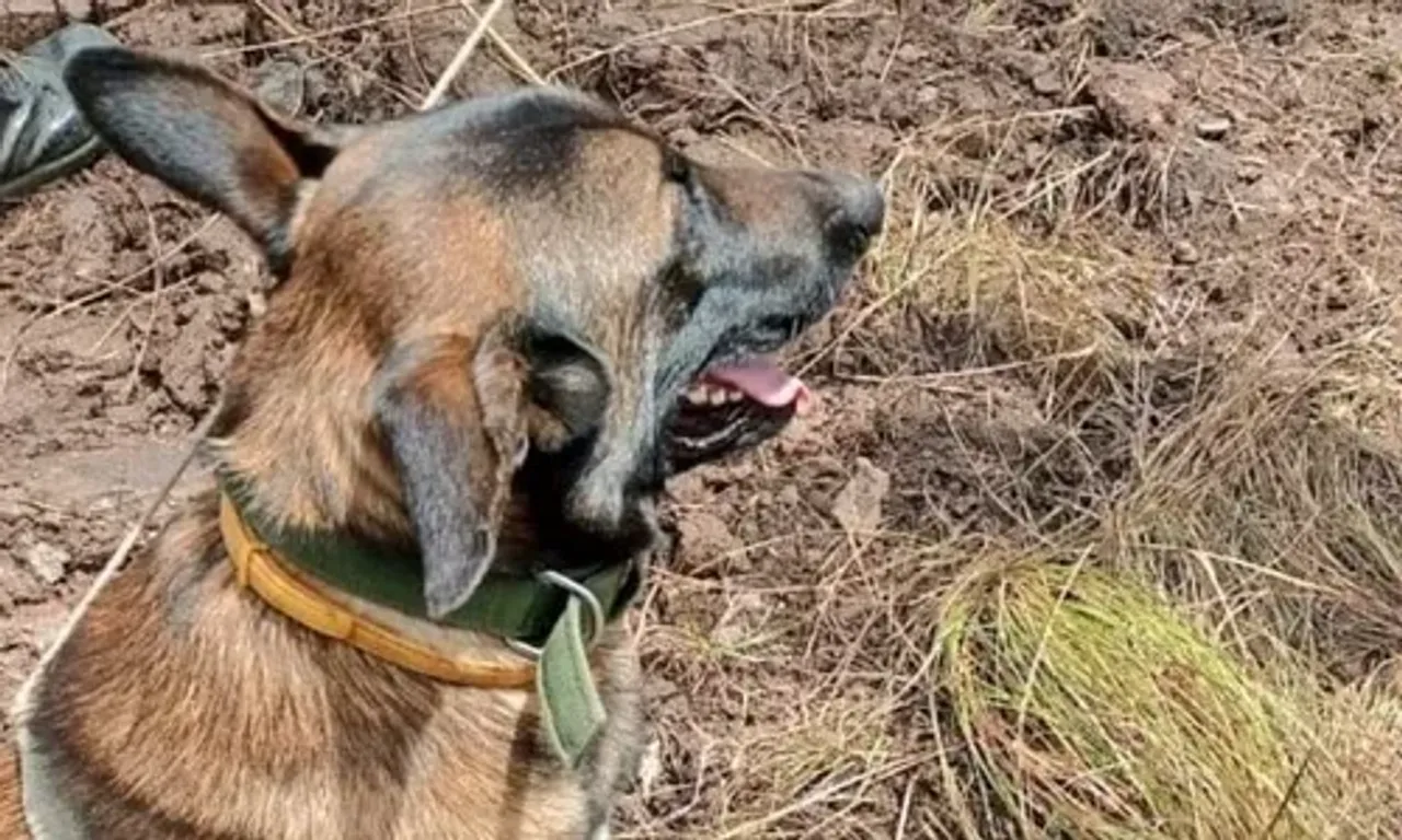 J&K: આર્મીના ડોગે લેન્ડમાઈન શોધી, મોટી દુર્ઘટના ટળી