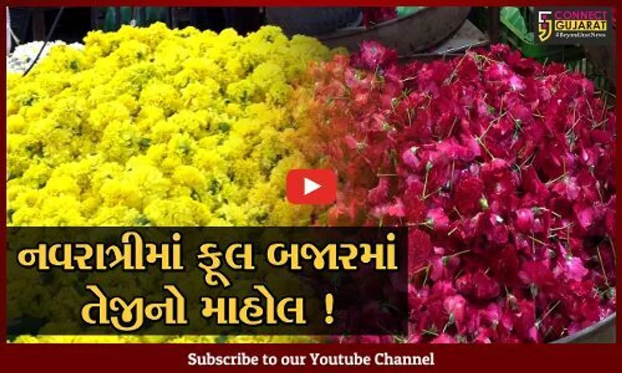 અમદાવાદ: નવરાત્રીમાં નેચરલ ફૂલોની સાથે આર્ટિફિશ્યલ ફુલોની માગ વધી,જુઓ કેવો છે ફૂલ બજારનો માહોલ