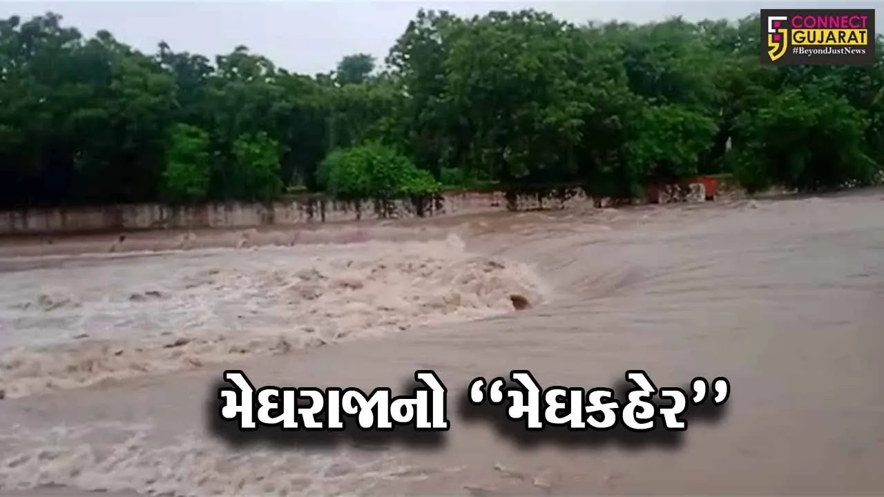 ગુજરાતના ચેરાપુંજી ગણાતા ડાંગમાં સૌથી ઓછો વરસાદ ખાબક્યો, જ્યારે જૂનાગઢમાં સર્જાયા તારાજીના દ્રશ્યો...