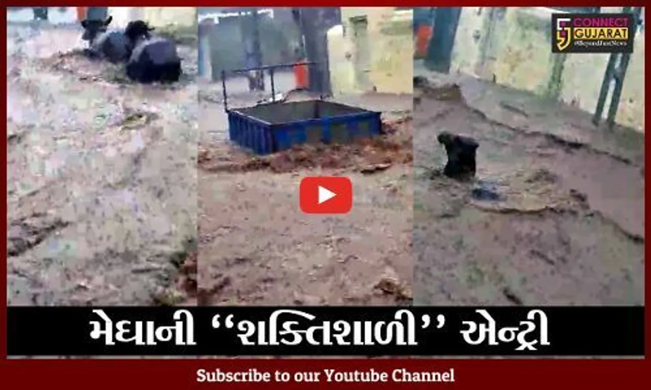 અમરેલી : ટાઉતે બાદ હવે પાણીની તાકાત , ભારે વરસાદમાં વાહનો અને પશુઓ તણાયાં