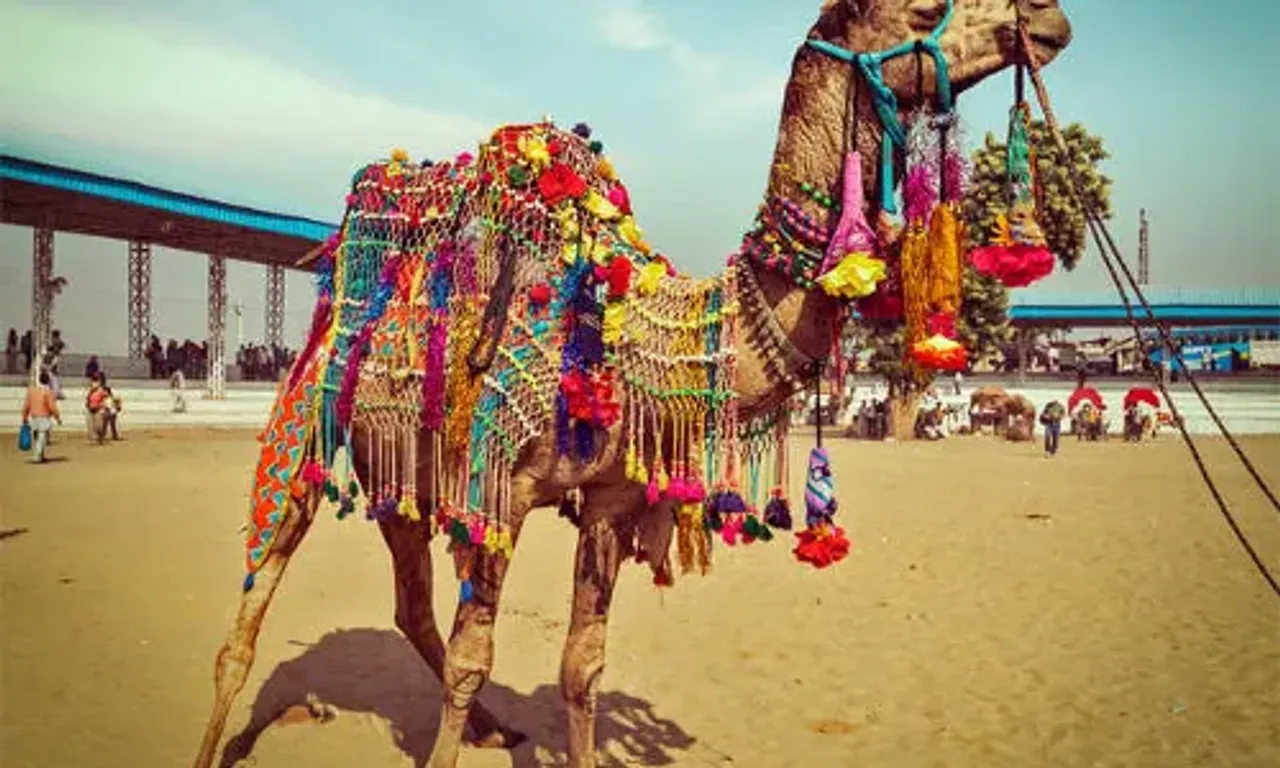 ભારતીય સંસ્કૃતિથી પરિચિત થવા માટે દેશના આ સુંદર સ્થળોની મુલાકાત અવસ્ય કરો