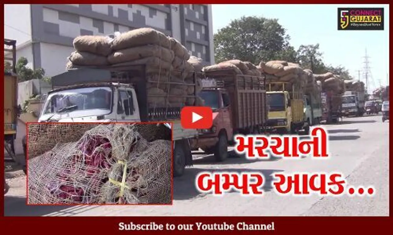 ગુજરાતમાં પ્રથમ વખત જામનગર-હાપા માર્કેટ યાર્ડમાં સૌથી વધુ મરચાનો ભાવ મળતા ખેડૂતોની લાંબી કતાર...