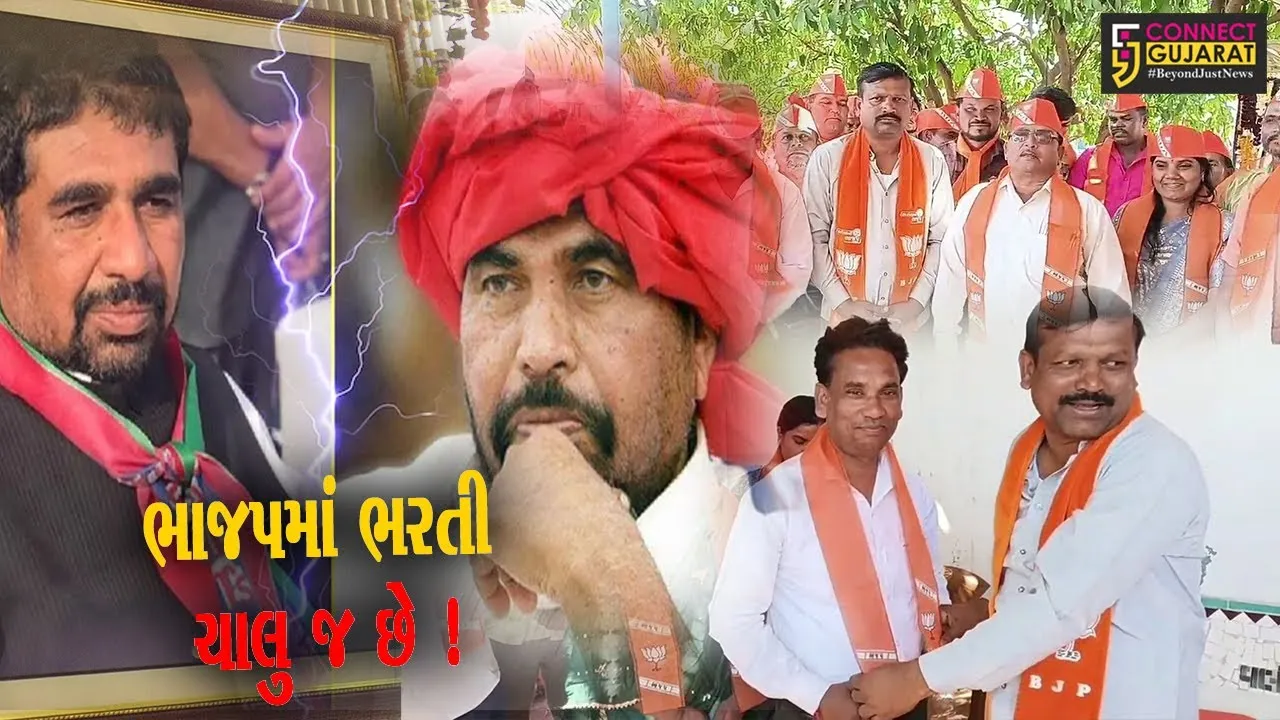 ભરૂચ :લોકસભા ચૂંટણી પૂર્વે નેત્રંગ તાલુકા બી.ટી.પીમાં ગાબડું,50થી વધુ કાર્યકરો ભાજપમાં જોડાયા