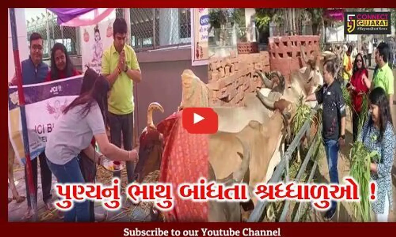 ભરૂચ: મકરસંક્રાંતિના પર્વ પર શ્રધ્ધાળુઓએ કર્યું નર્મદા સ્નાન, ગાયને ઘૂઘરી પણ ખવડાવી
