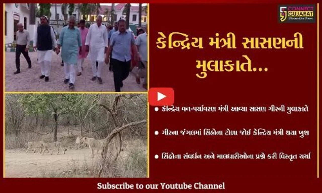 જુનાગઢ : સિંહોના સંવર્ધન અને માલધારીઓના પડતર પ્રશ્ને કેન્દ્રિય મંત્રી ભૂપેન્દ્ર યાદવે યોજી બેઠક