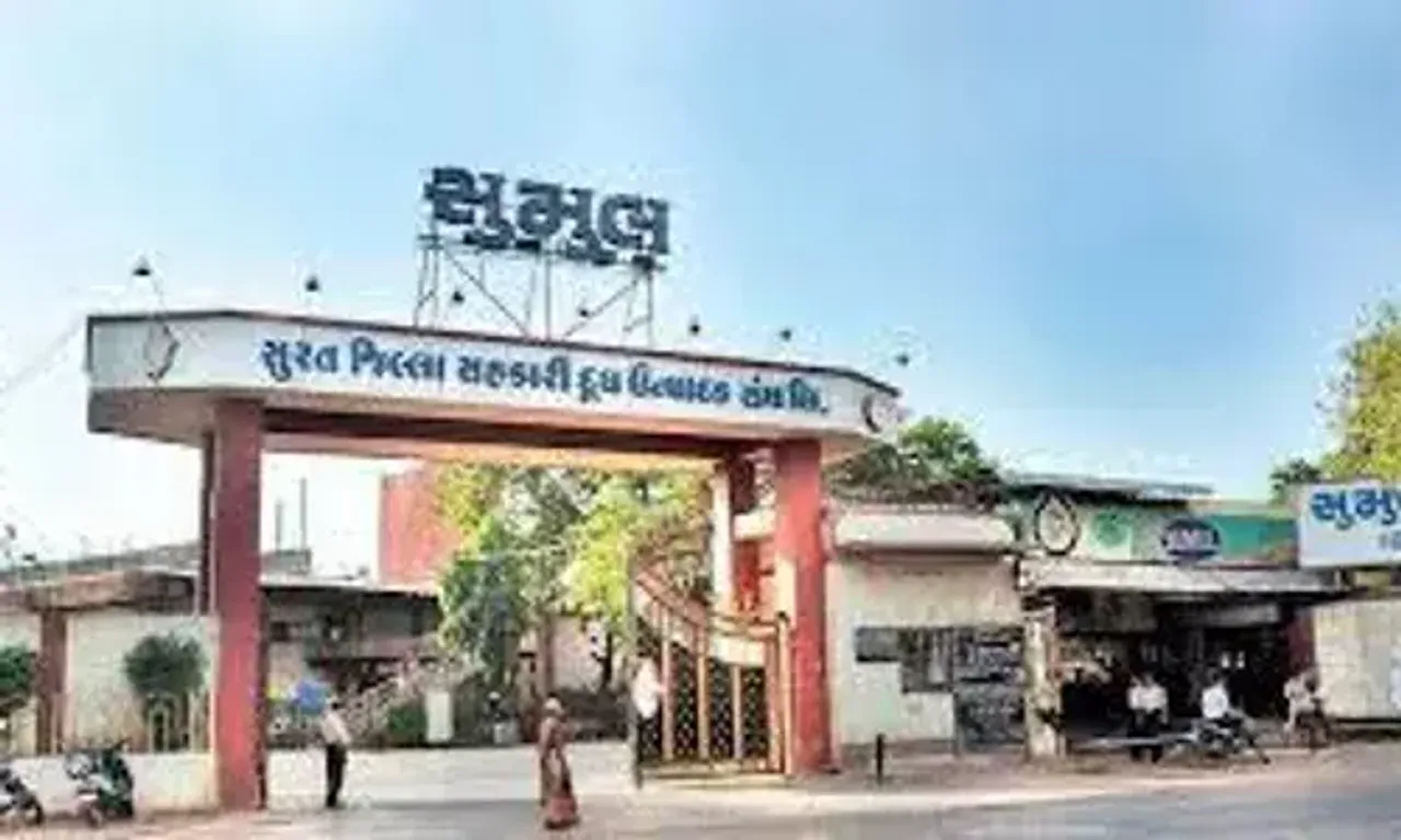 અમૂલ બાદ સુમુલ ડેરીએ પ્રજાને આપ્યો મોંઘવારીનો ડામ / દૂધ-છાશના ભાવમાં વધારો ઝીંક્યો, દૂધના ભાવમાં લીટર દીઠ 2 રૂપિયાનો વધારો